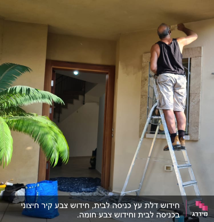 אדם צובע קיר חיצוני בעזרת מברשת על סולם